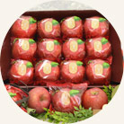 �ľ�� ���