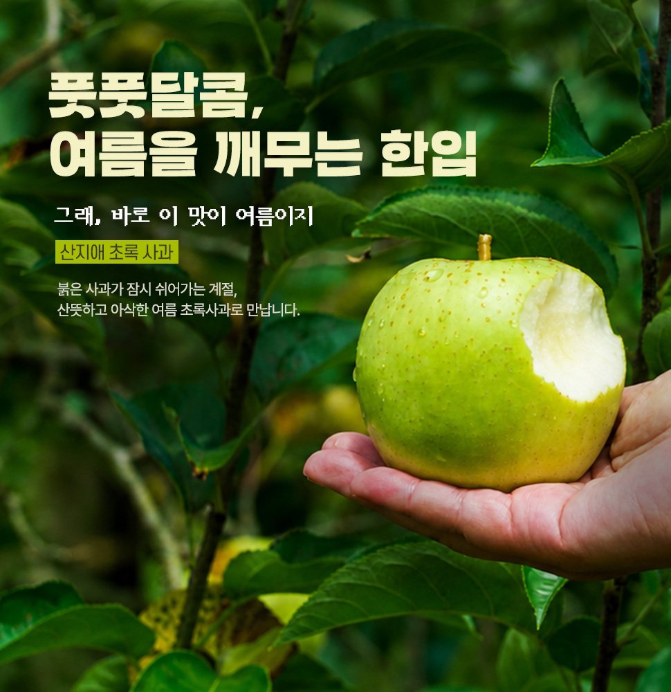산지애 초록사과