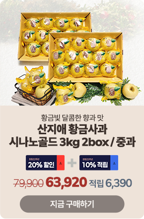 ��Ư�� ��ǰ 2