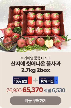 ��Ư�� ��ǰ 6