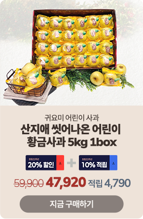 ��Ư�� ��ǰ 1