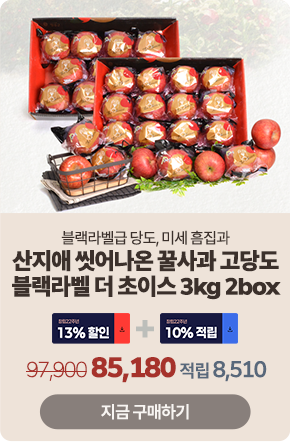 ��Ư�� ��ǰ 4