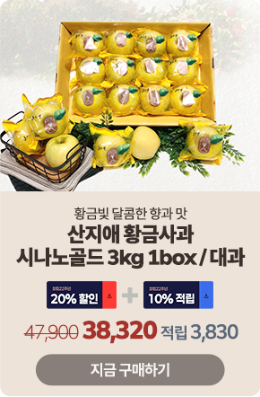 ��Ư�� ��ǰ 5