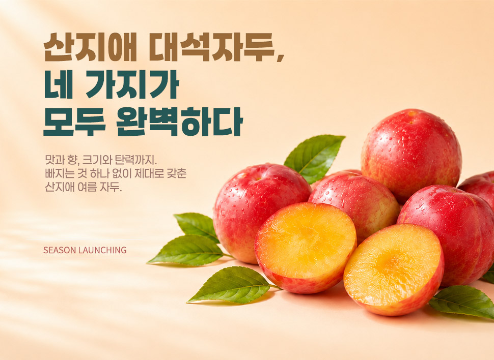 ������ �뼮�ڵ� ���� ��Ī